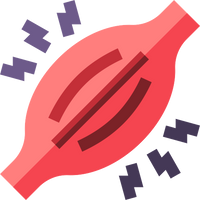 Vos muscles se rééduquent